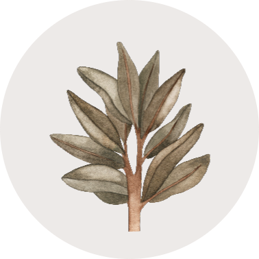 Das Geheimnis der raschelnden Blätter