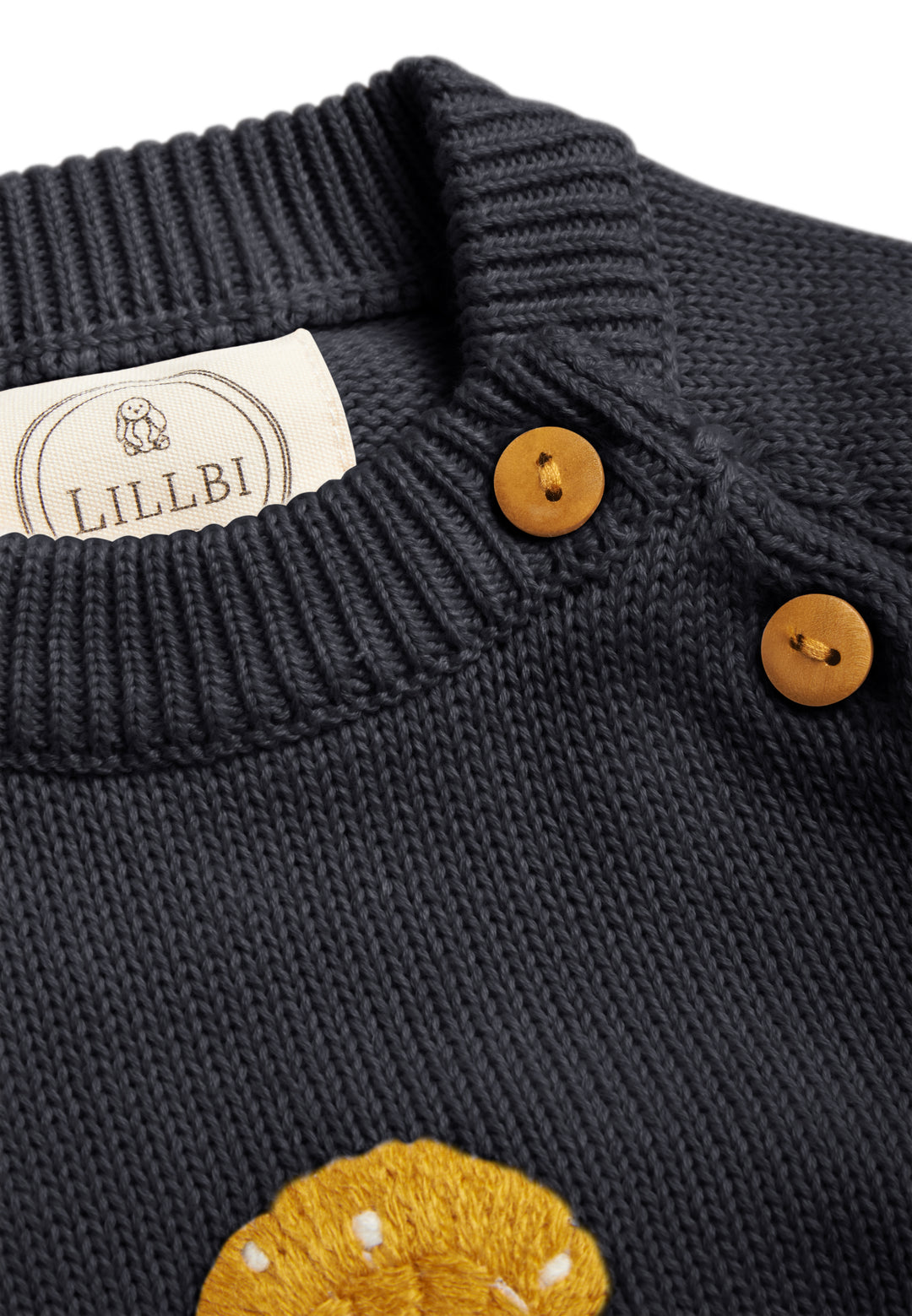 Knitted sweater "Fly agaric"