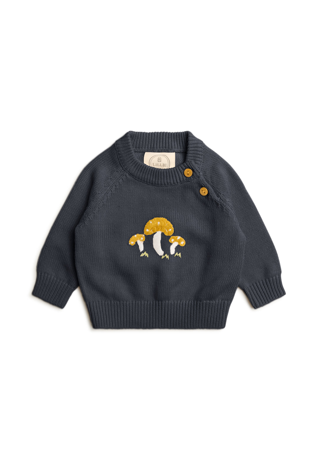 Knitted sweater "Fly agaric"